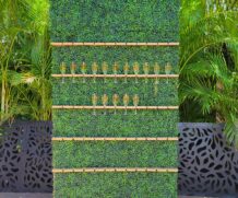 Champagne Wall – Green Hedge